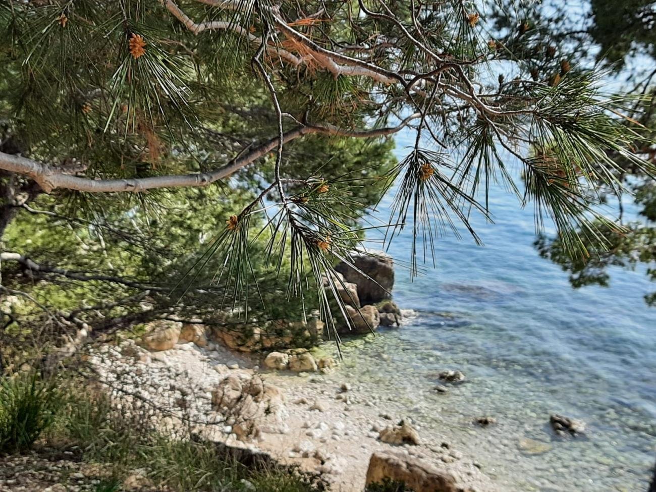 Kuća Na prodaju - Istarska Rovinj