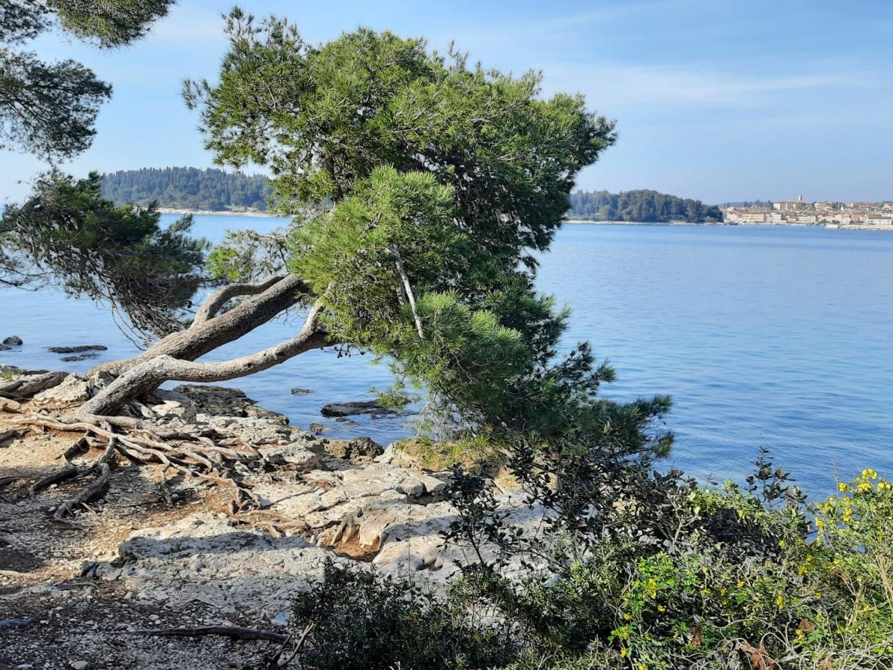 Kuća Na prodaju - Istarska Rovinj