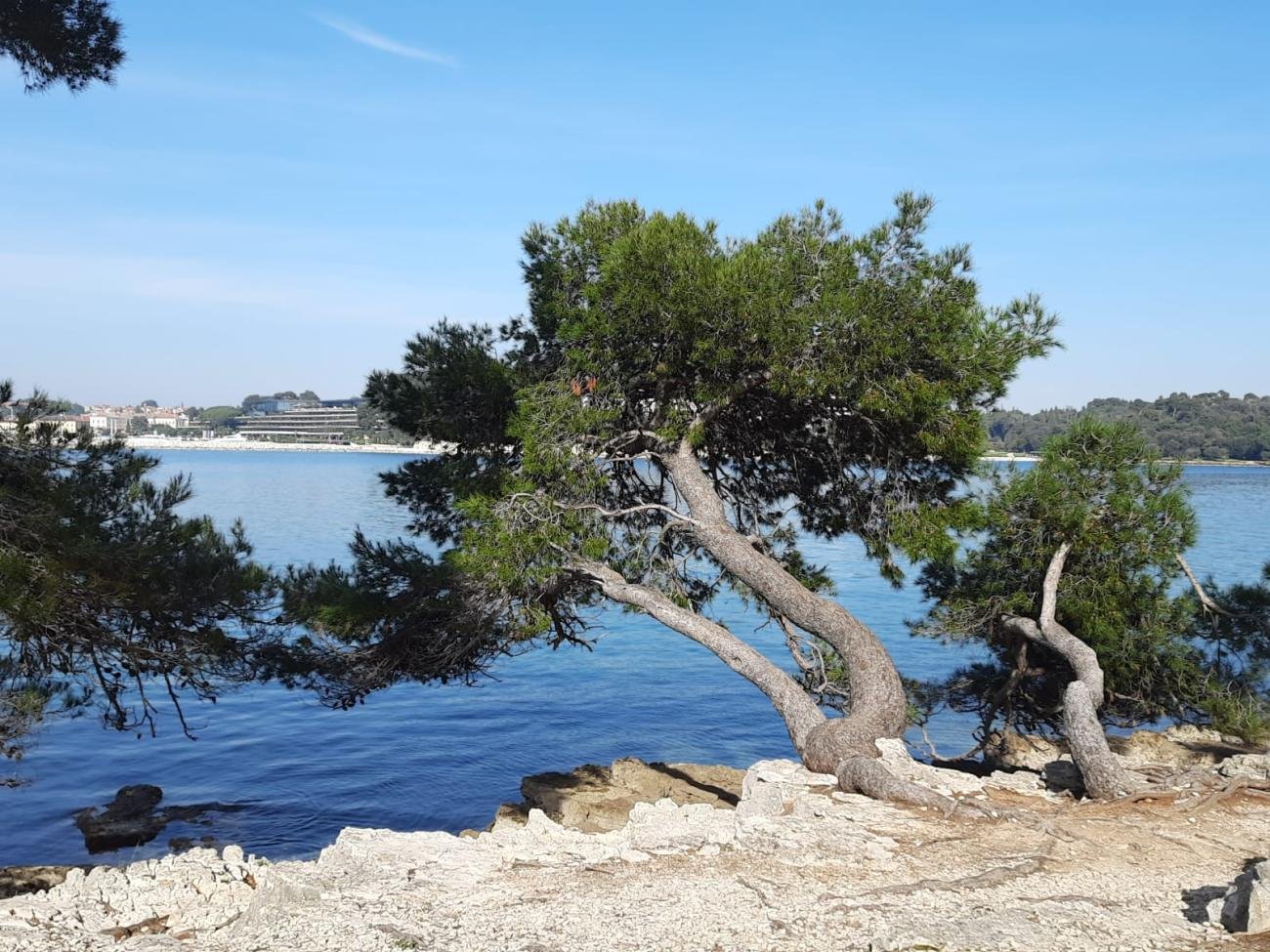 Kuća Na prodaju - Istarska Rovinj