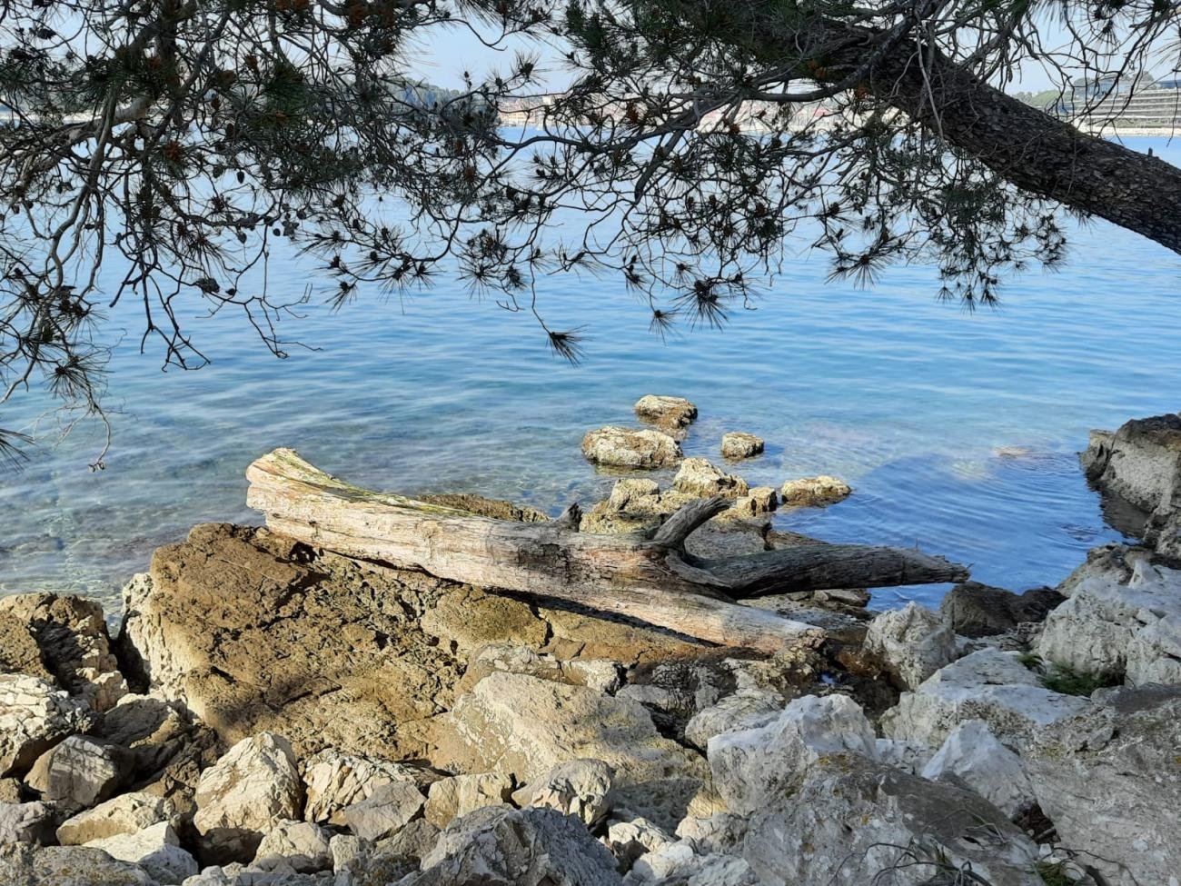 Kuća Na prodaju - Istarska Rovinj