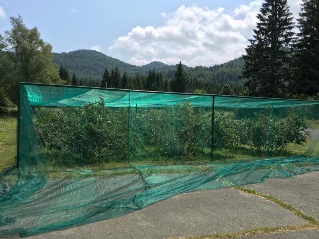 Hotel Na predaj - Karlovačka Ogulin - foto 5/5