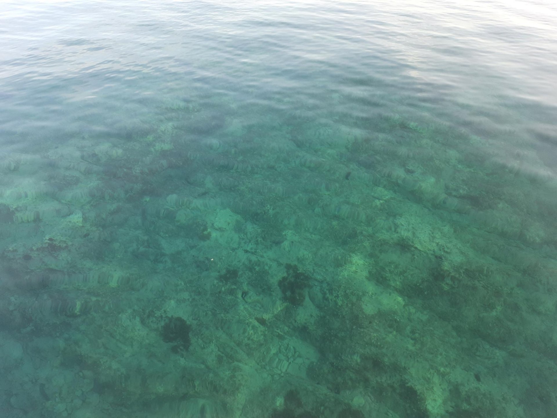 Dům Na prodej - Dubrovačko-neretvanska Dubrovnik