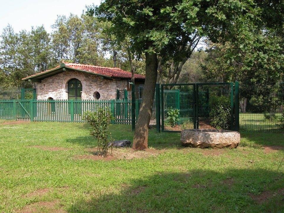 Kuća Na prodaju - Istarska Ližnjan