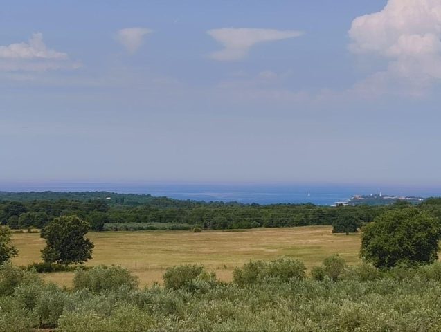 Casa In vendita - Istarska Kaštelir-labinci - foto 3/24
