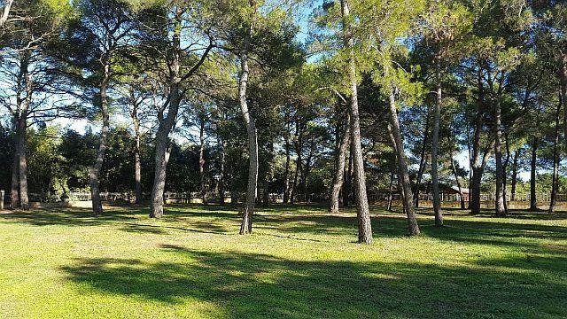 Hotel À vendre - Istarska Rovinj - foto 3/15