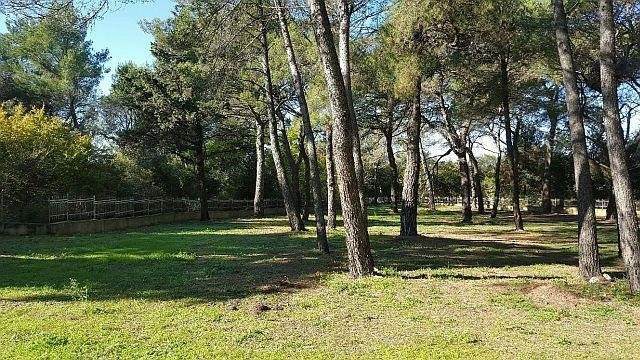 Hotel À vendre - Istarska Rovinj - foto 4/15