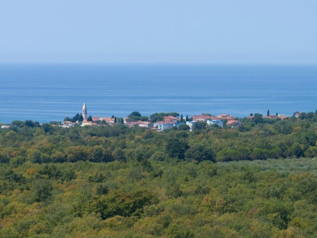 House For sale - Istarska Umag - foto 3/23