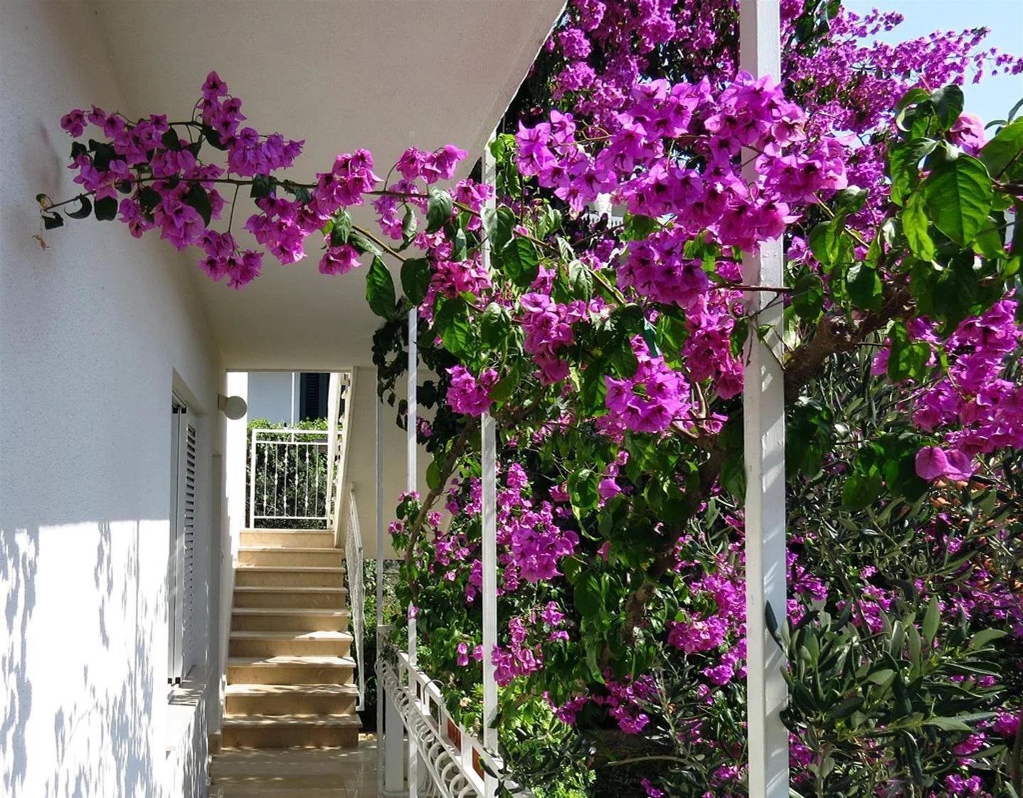Hotel Zu verkaufen - Splitsko-dalmatinska Trogir