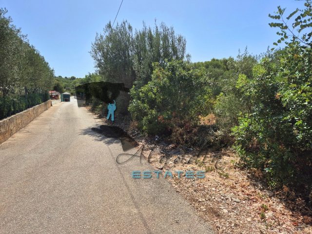 Land For sale - Splitsko-dalmatinska Okrug Gornji - foto 5/7