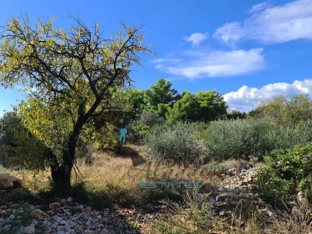 Land for sale 1696 m² – Okrug