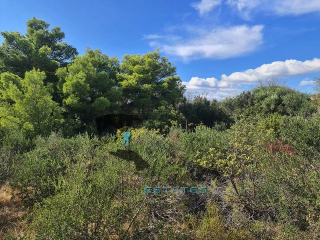 Land For sale - Splitsko-dalmatinska Okrug Gornji - foto 5/5