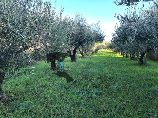 Terreno In vendita - Splitsko-dalmatinska Trogir - foto 2/3