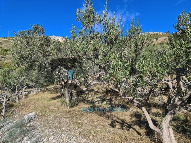 Terrain À vendre - Splitsko-dalmatinska Seget Gornji - foto 3/10