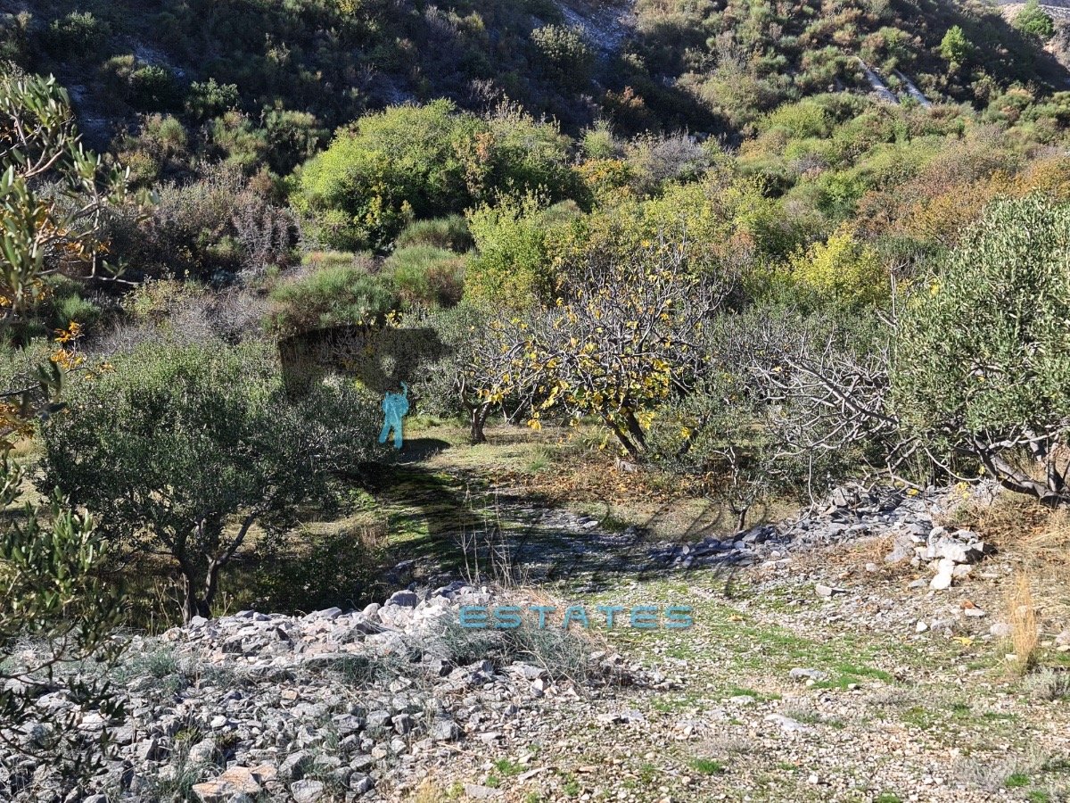 Terrain À vendre - Splitsko-dalmatinska Seget Gornji