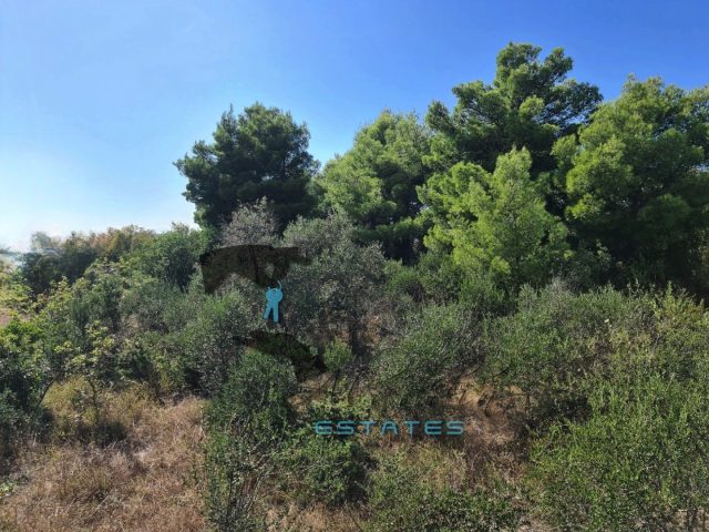 Land For sale - Splitsko-dalmatinska Okrug Gornji - foto 3/6