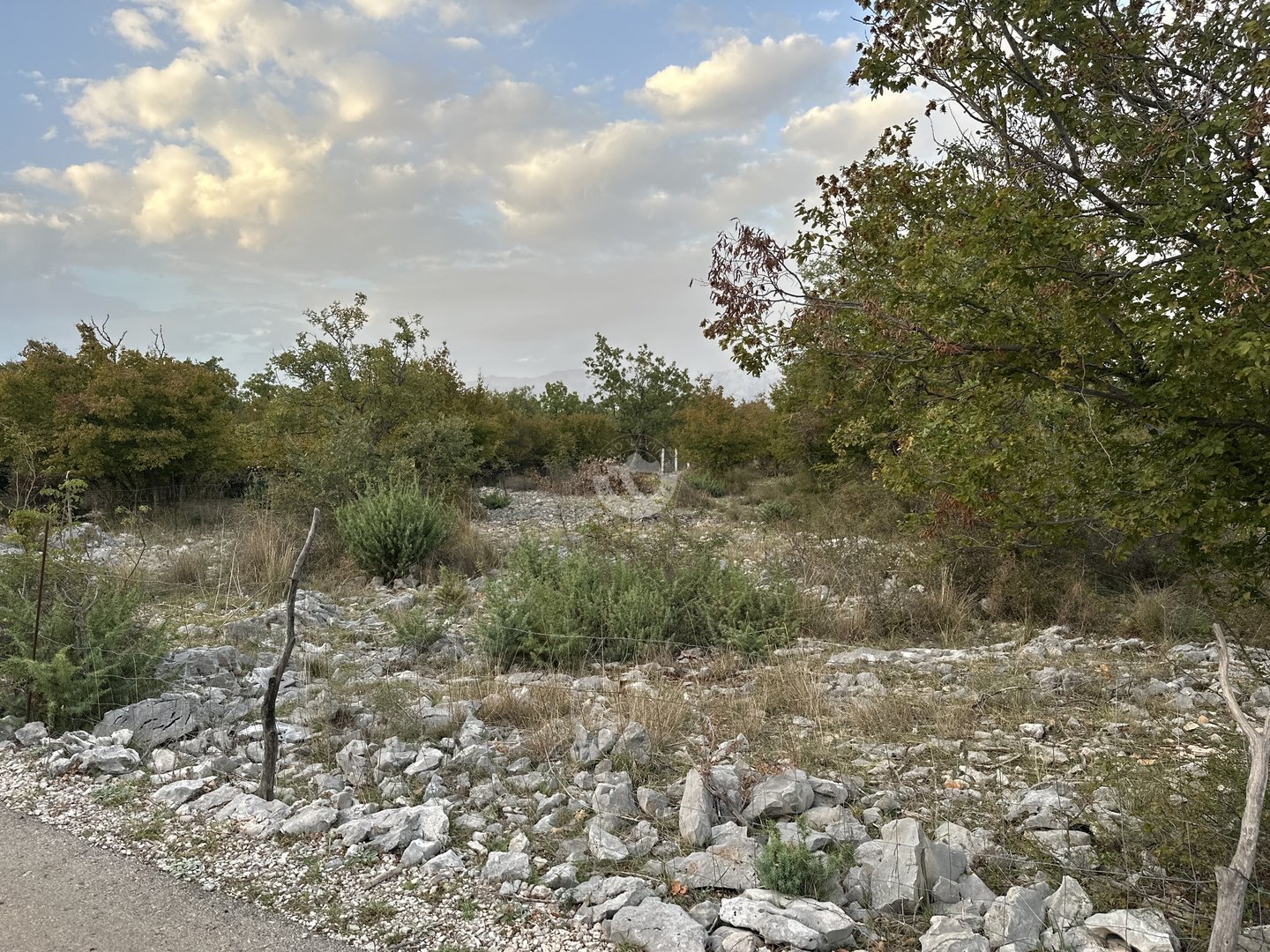 Land For sale - Zadarska Slivnica