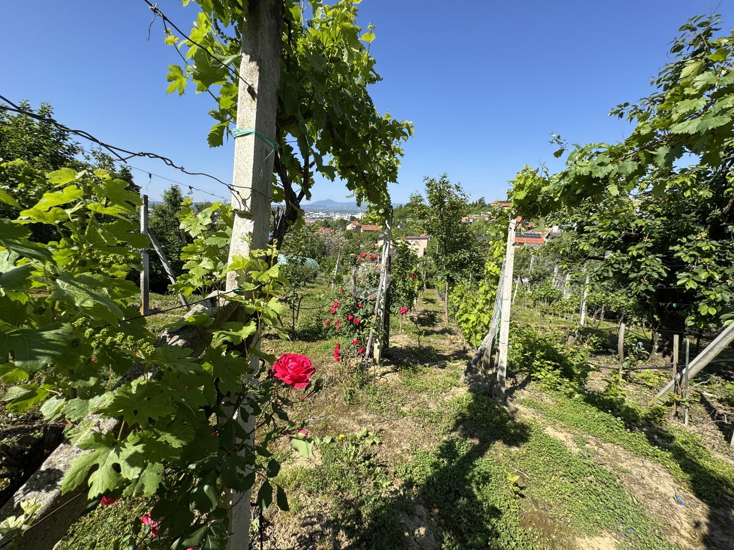 Land For sale - Grad Zagreb Vrapče