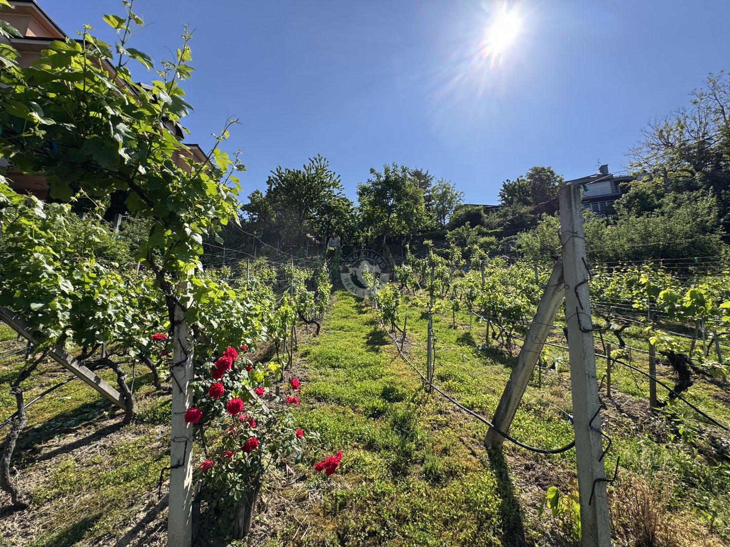 Land For sale - Grad Zagreb Vrapče