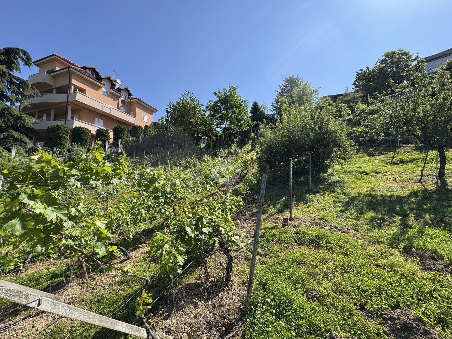 Land For sale - Grad Zagreb Vrapče