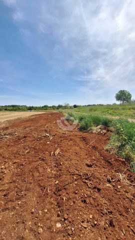 Land for sale 1774 m² – Brtonigla