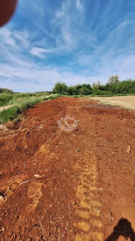 Land For sale - Istarska Brtonigla - foto 3/4