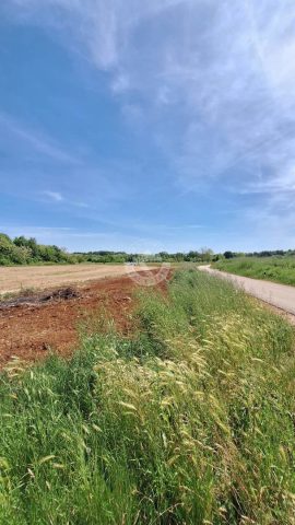 Land For sale - Istarska Brtonigla - foto 4/4