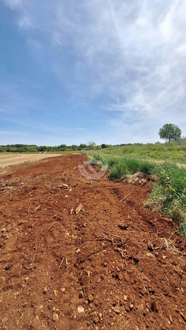 Land For sale - Istarska Brtonigla - foto 1/4