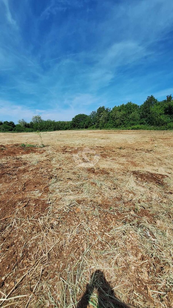 Land For sale - Istarska Brtonigla