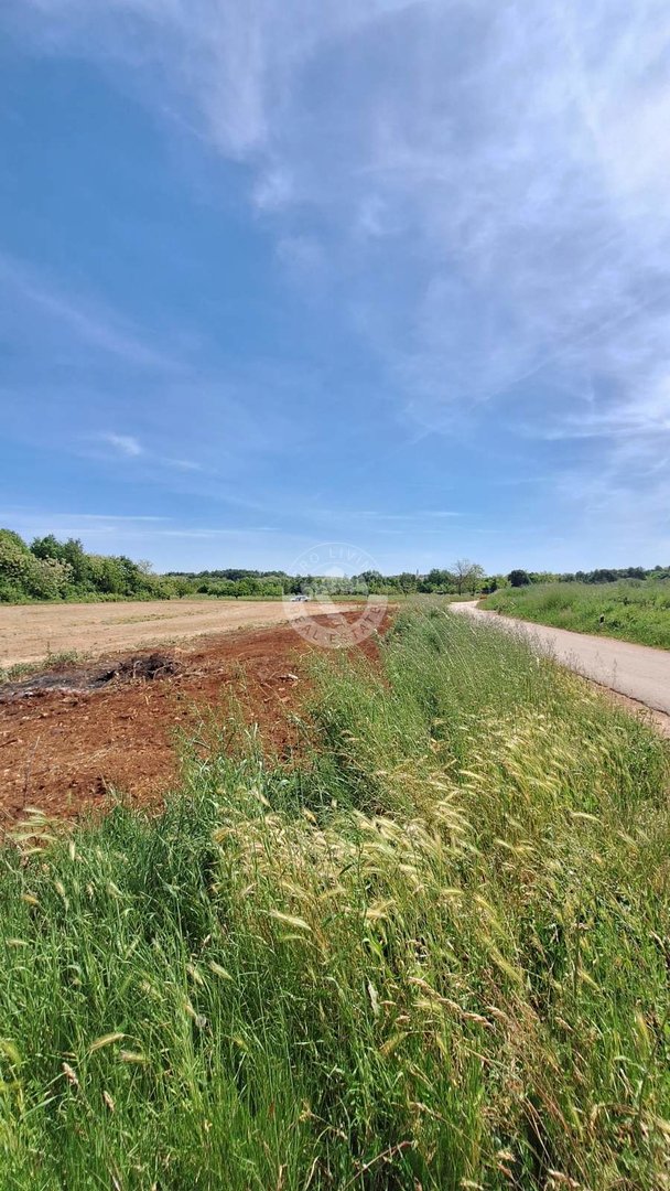 Land For sale - Istarska Brtonigla