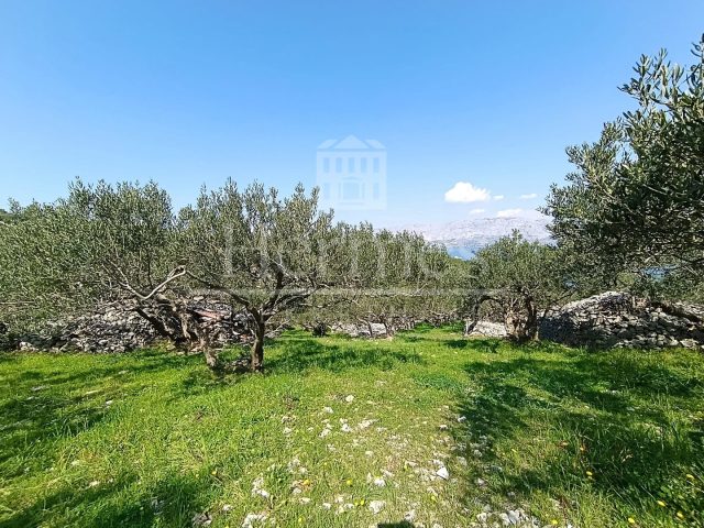 Parcela naprodaj 2894 m² – Povlja