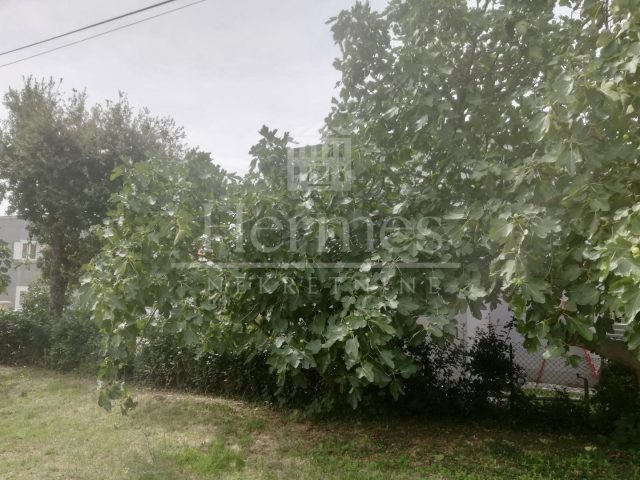 Maison À vendre - Istarska Medulin - foto 5/25