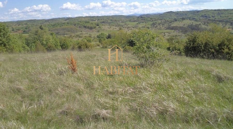Terreno In vendita - ISTARSKA CEROVLJE