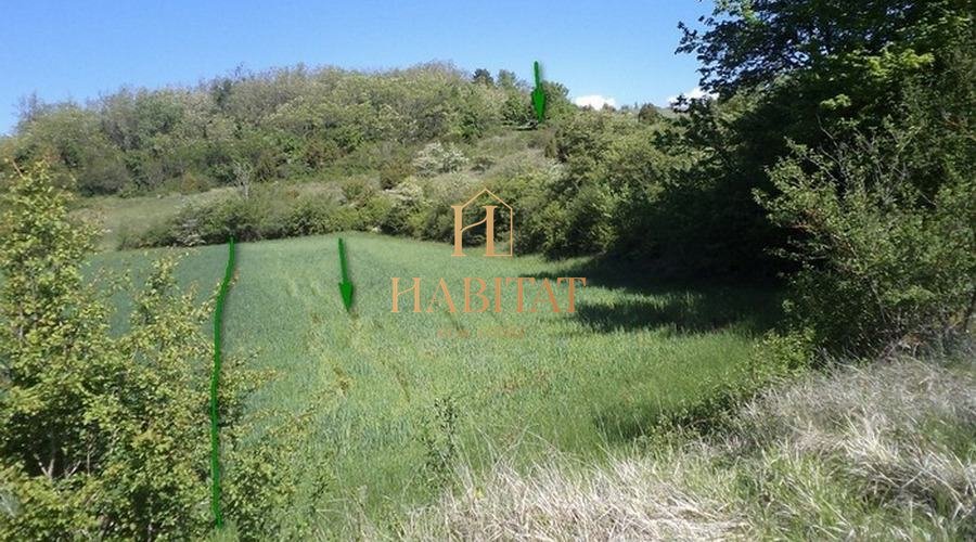 Terreno In vendita - ISTARSKA CEROVLJE
