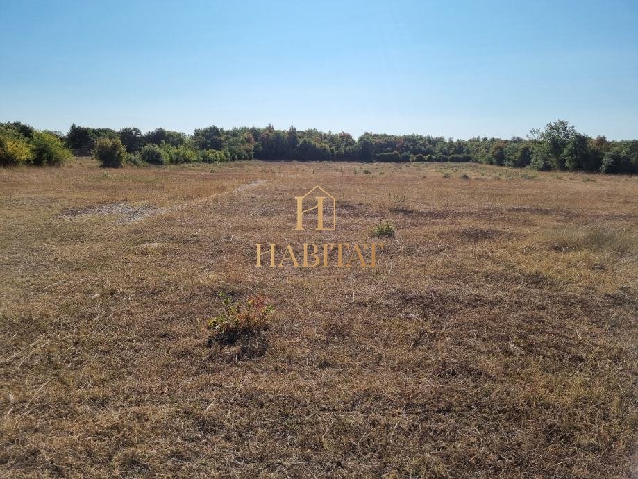 Terreno In vendita - ISTARSKA FAžANA