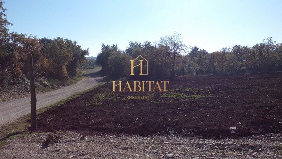 Terreno In vendita