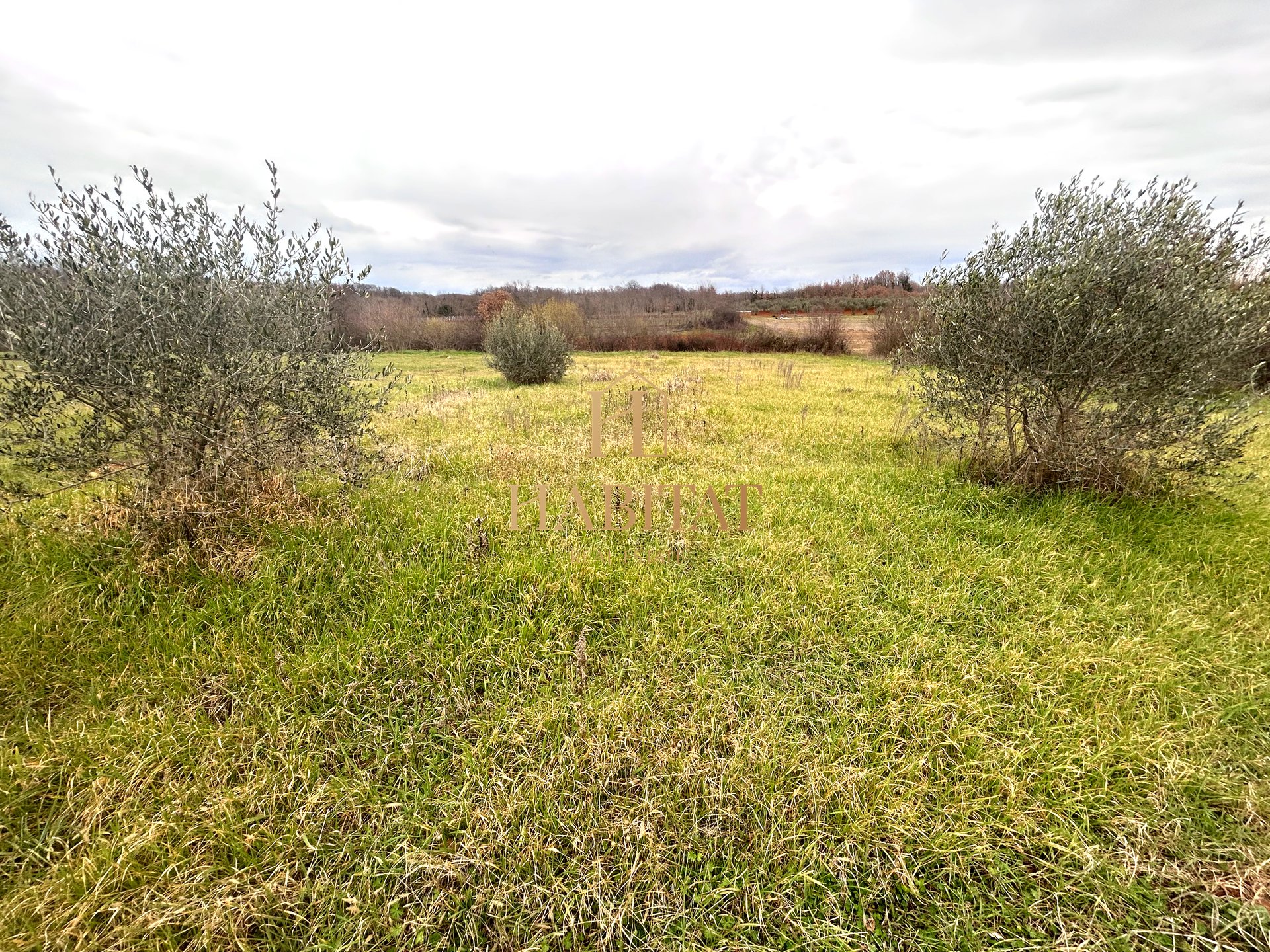 Parcela Na predaj - ISTARSKA KAšTELIR-LABINCI