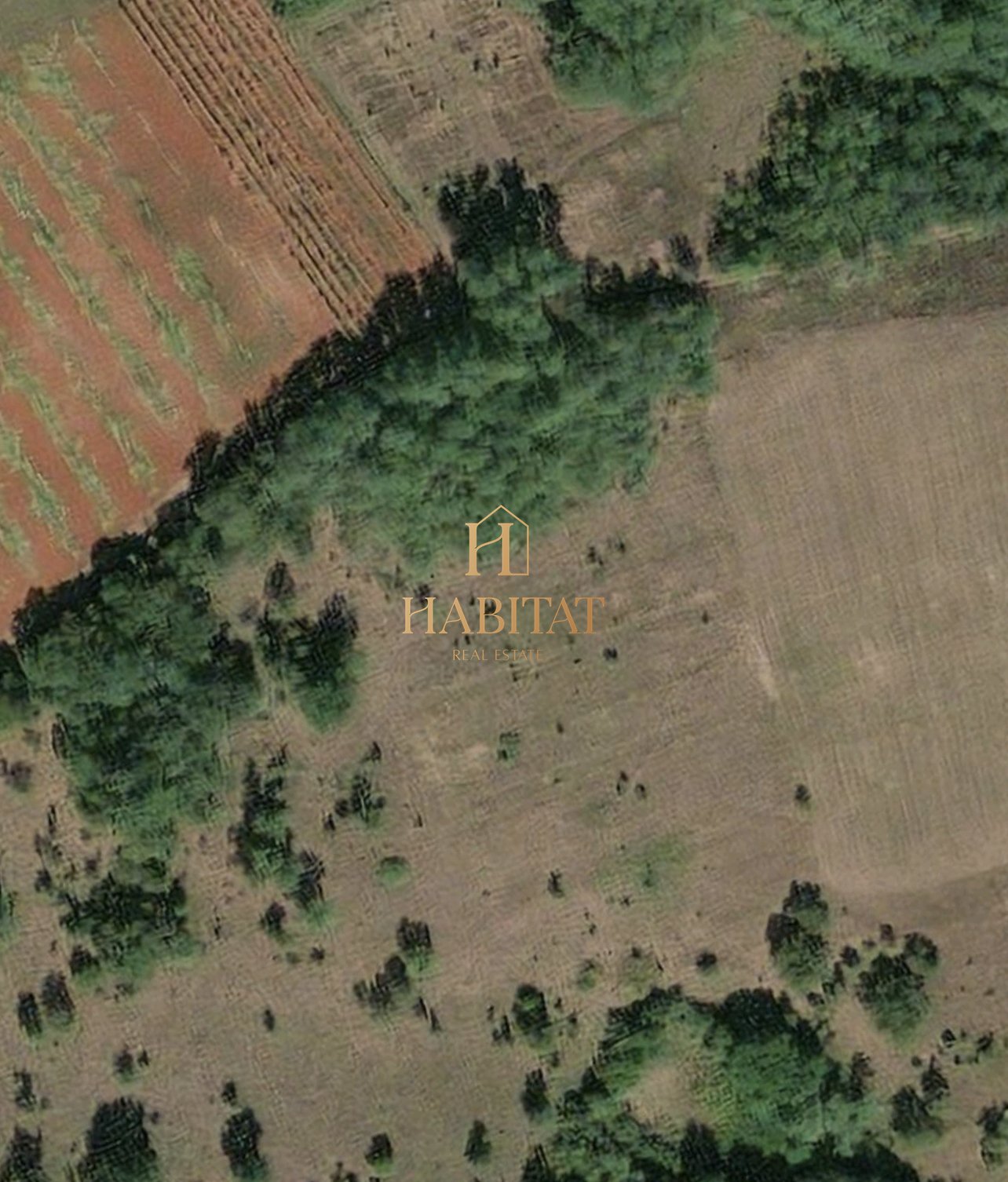 Land For sale - ISTARSKA BARBAN