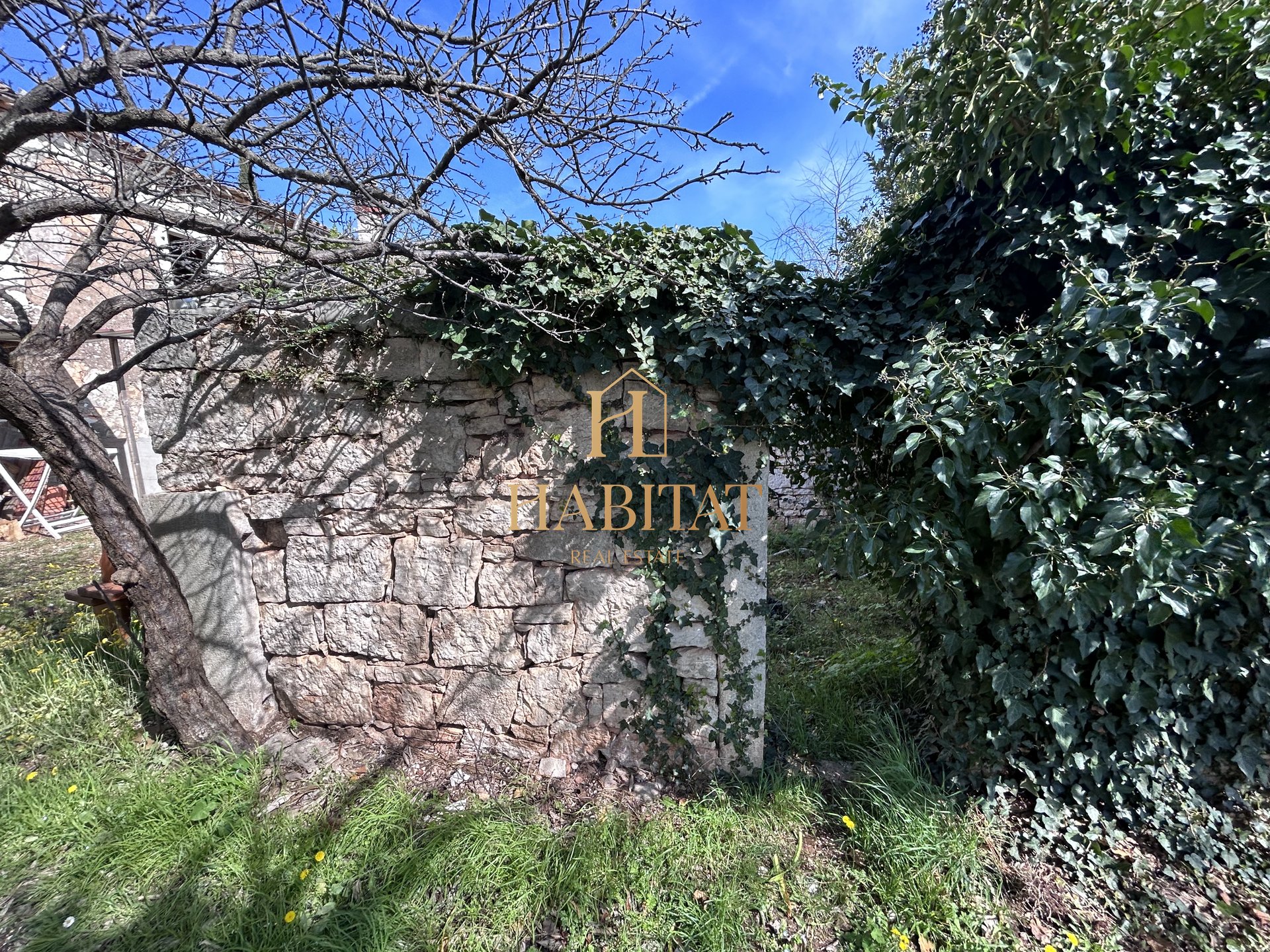 House For sale - ISTARSKA BUZET