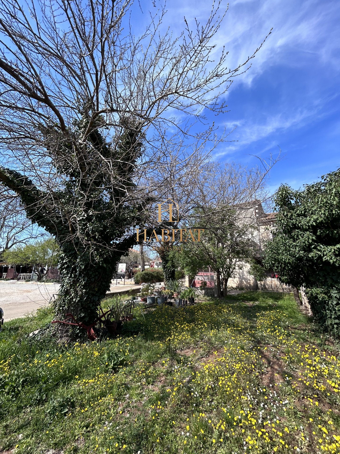 House For sale - ISTARSKA BUZET
