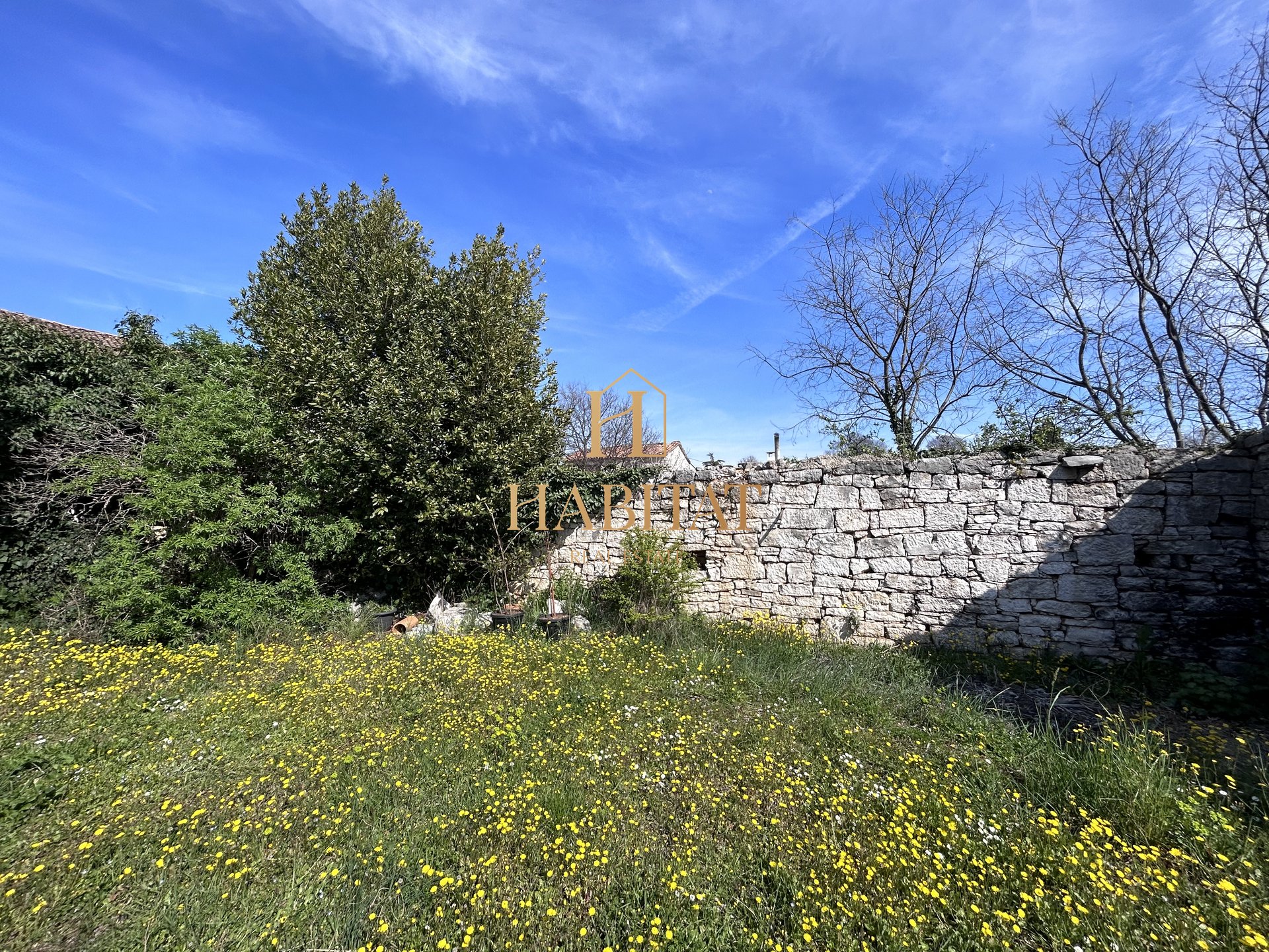 House For sale - ISTARSKA BUZET