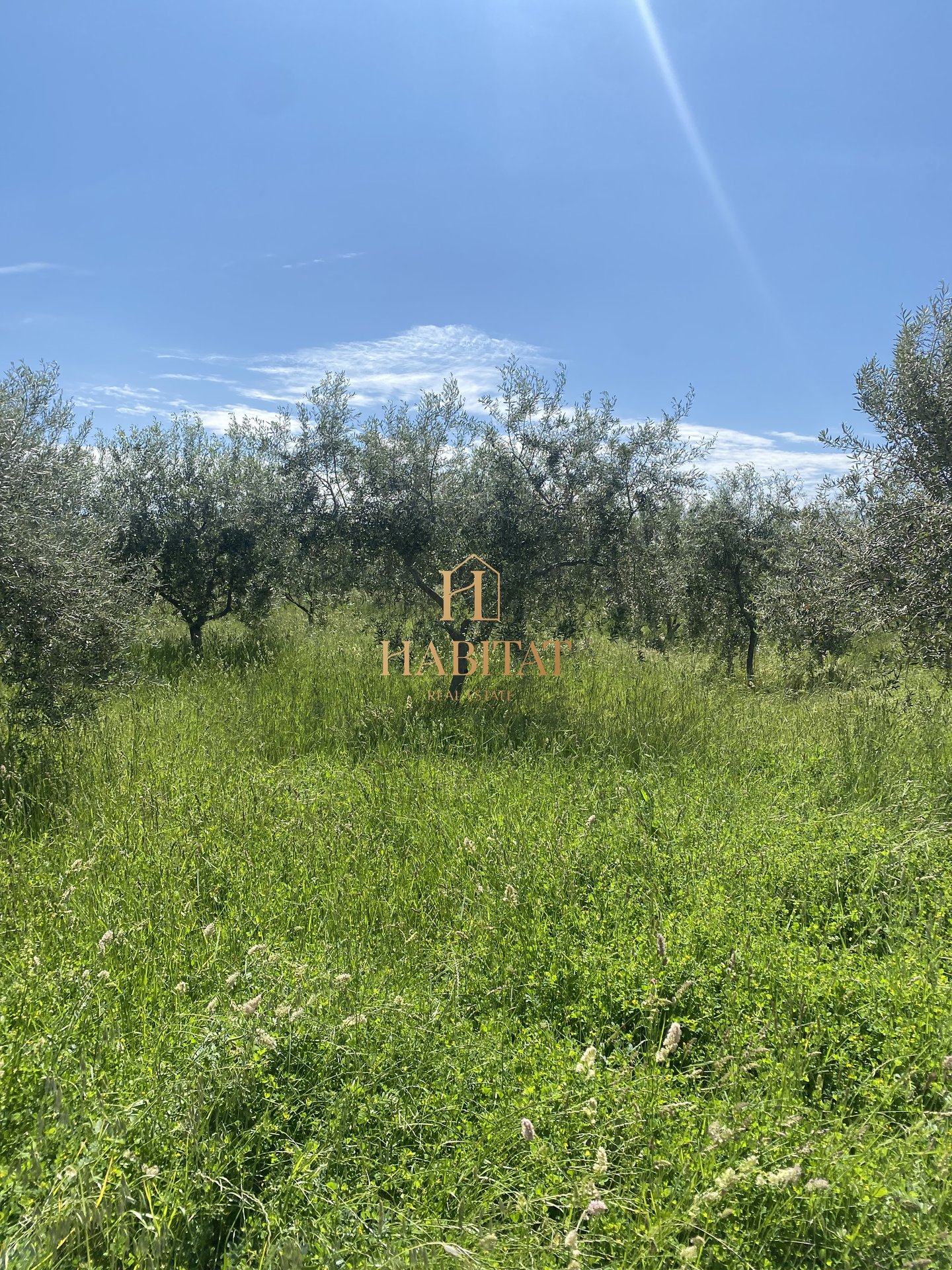 Land For sale - ISTARSKA CEROVLJE