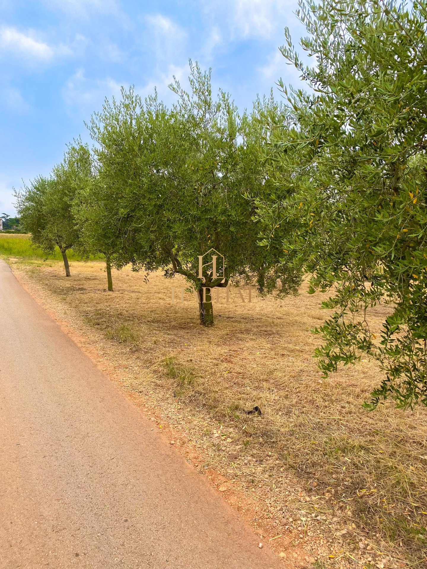 Land For sale - ISTARSKA CEROVLJE