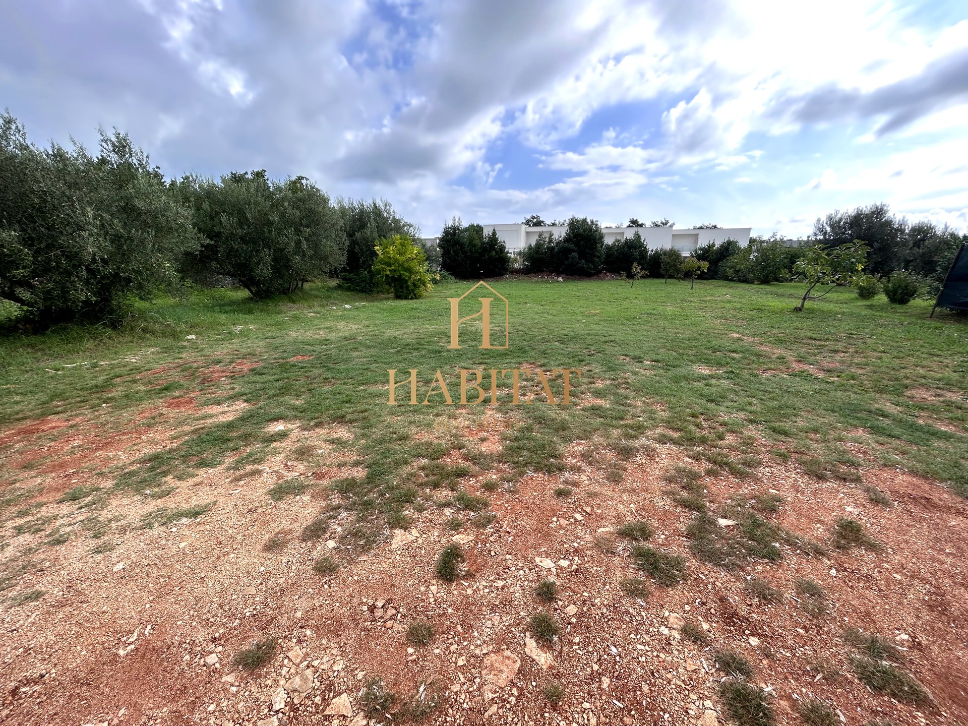 Terreno In vendita