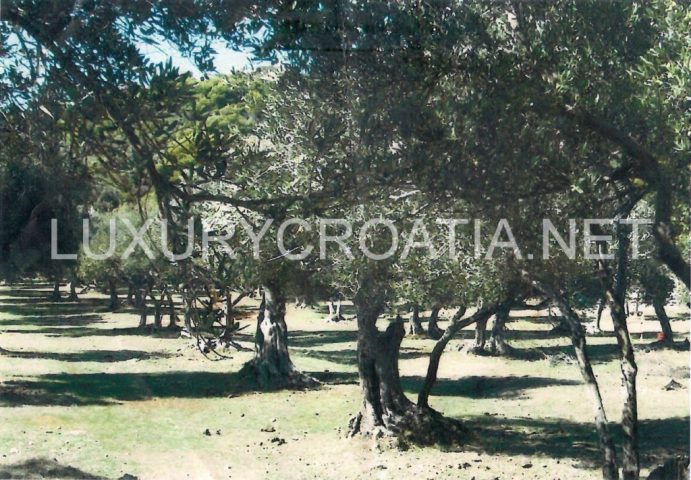 Haus Zu verkaufen - Dubrovačko-neretvanska Dubrovnik - foto 3/4