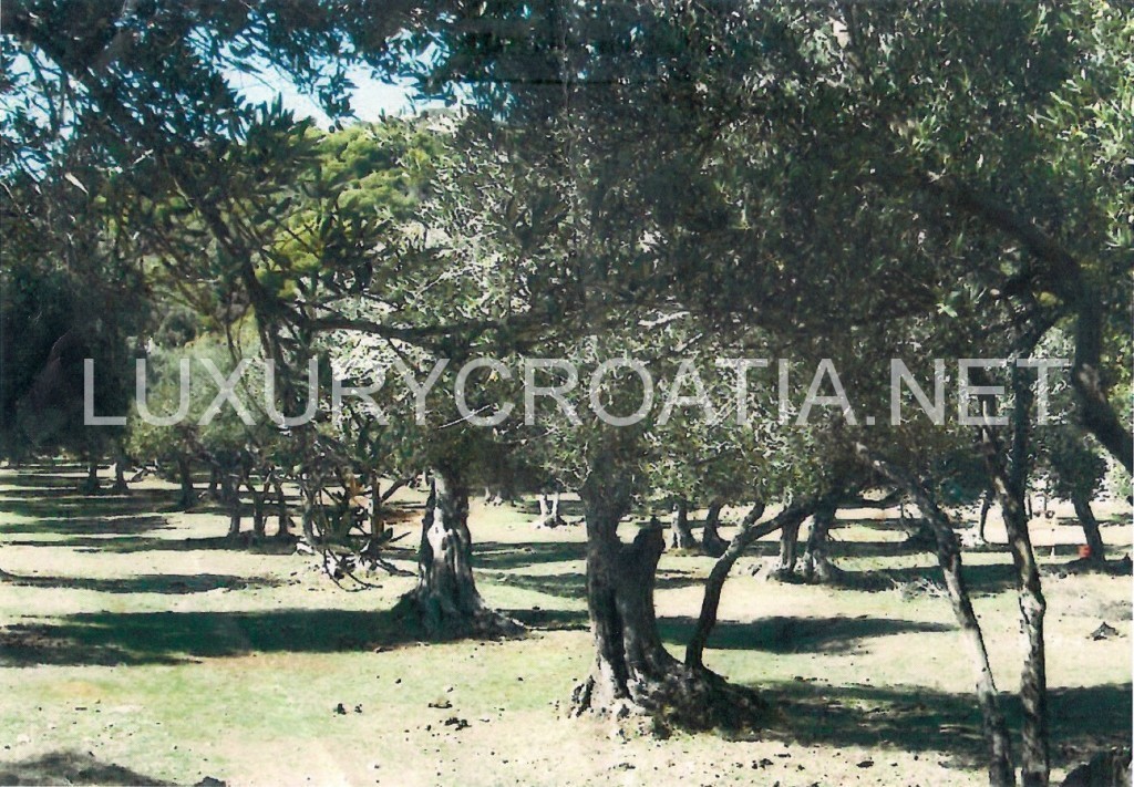 Dom Na predaj - DUBROVAČKO-NERETVANSKA  DUBROVNIK 