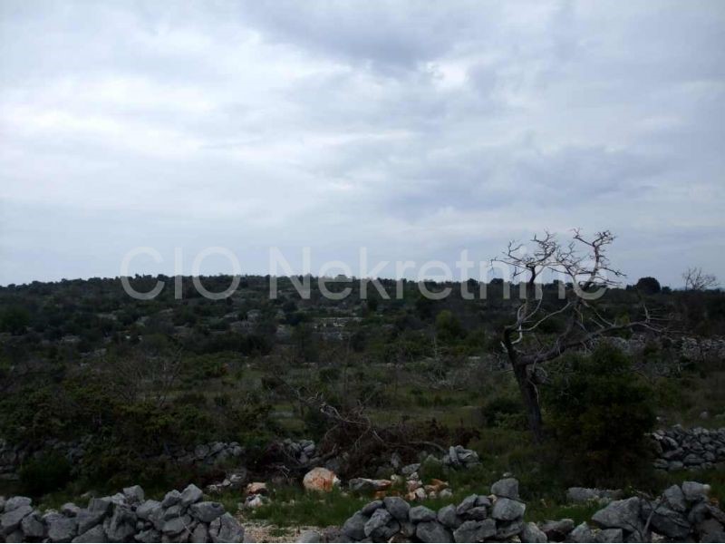 Land For sale DVORNICA