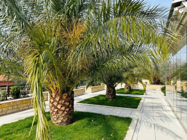 House For sale - Primorsko-goranska Crikvenica - foto 4/65