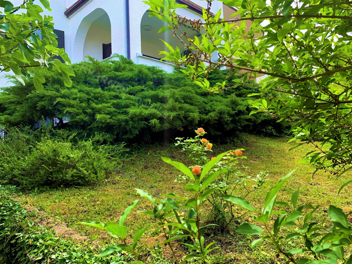 Haus Zu verkaufen - Njivice - foto 1/16