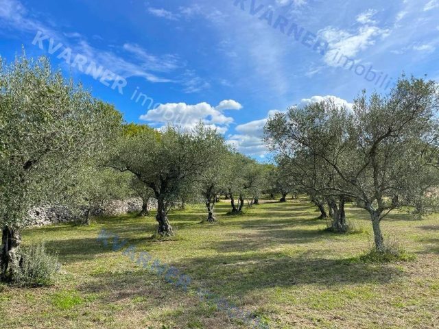Zemljište na prodaju 12000 m² – Vrbnik