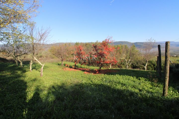 Grundstück Zu verkaufen - Istarska Motovun - foto 5/8